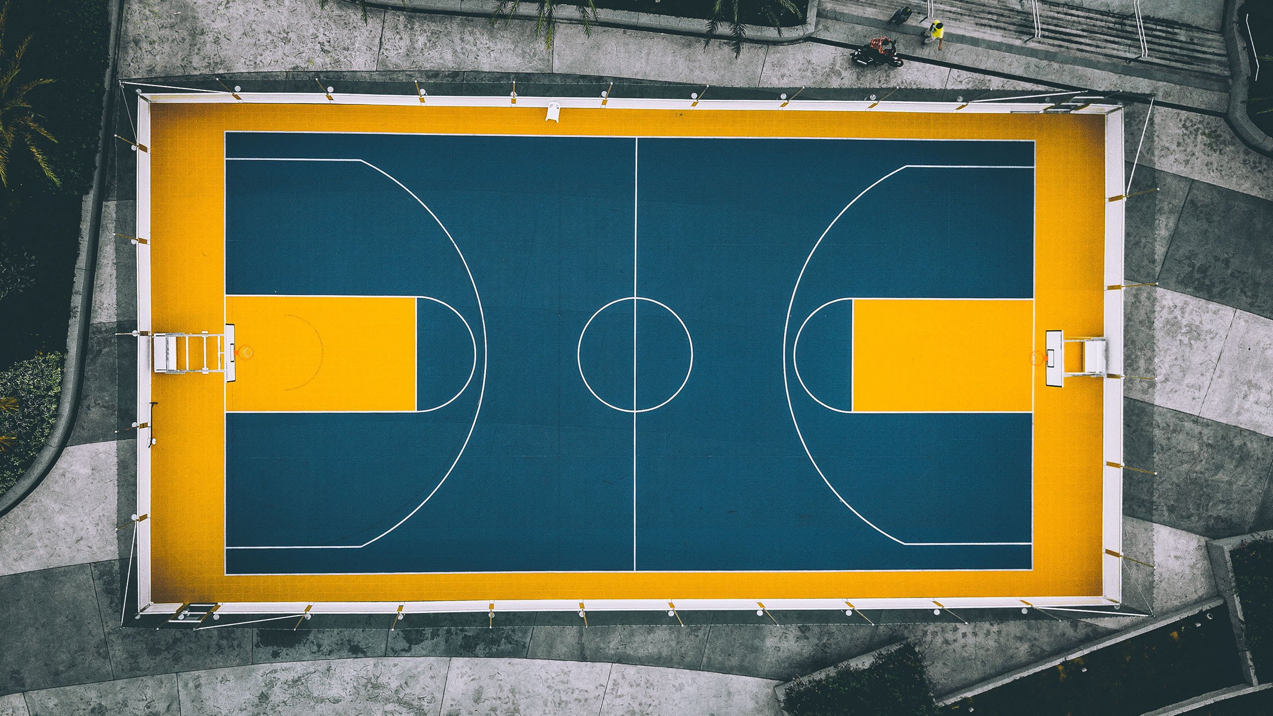 包含Scout首轮对皇社确定将引热议的词条|完美官网首页
